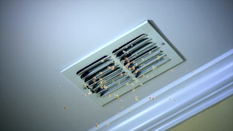 Best Affordable Air Duct Cleaning  in Early, TX